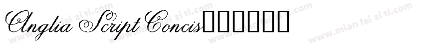 Anglia Script Concis字体转换